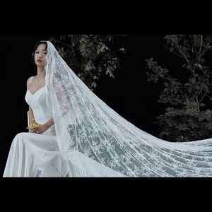 Wedding floor length eyelash lace veil with mini combs